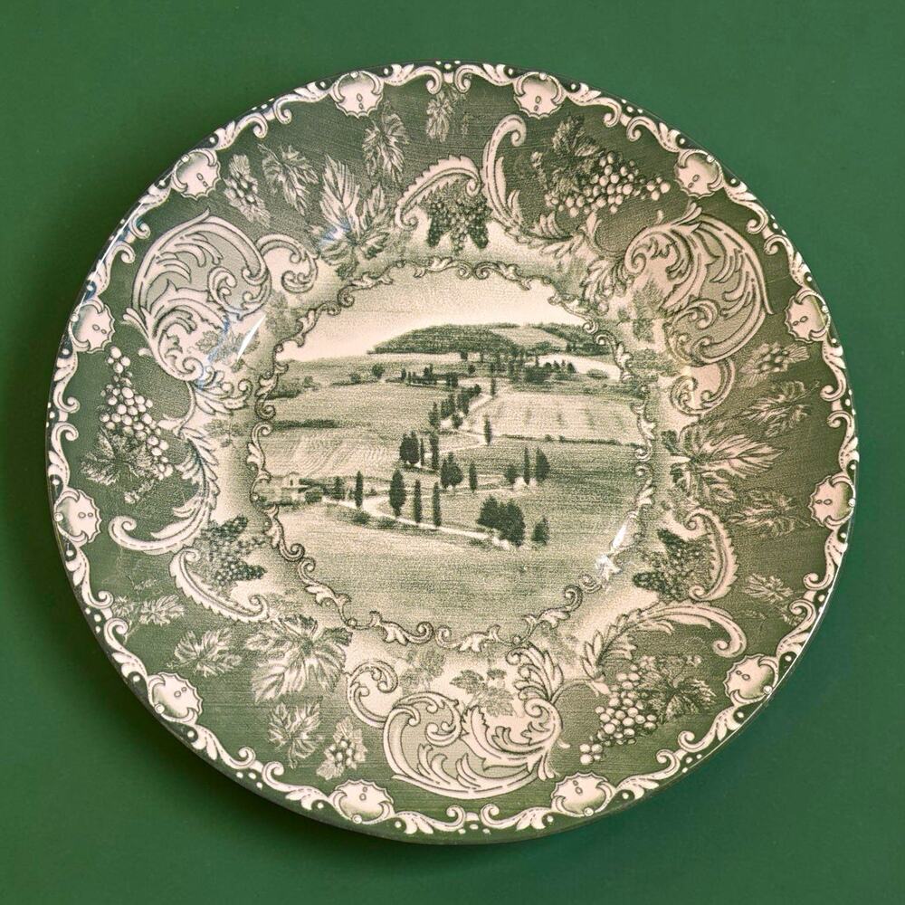 NWOT Arcucci Bolgheri Rice Bowl 30cm Handmade Italy